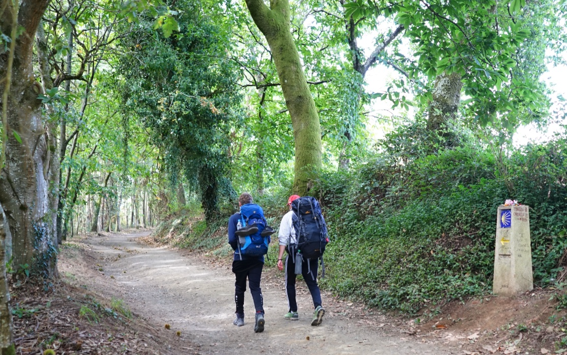 Camino Primitivo, Camino De Santiago