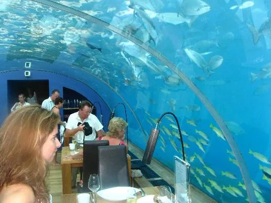 11 Best Underwater Restaurants in the World
