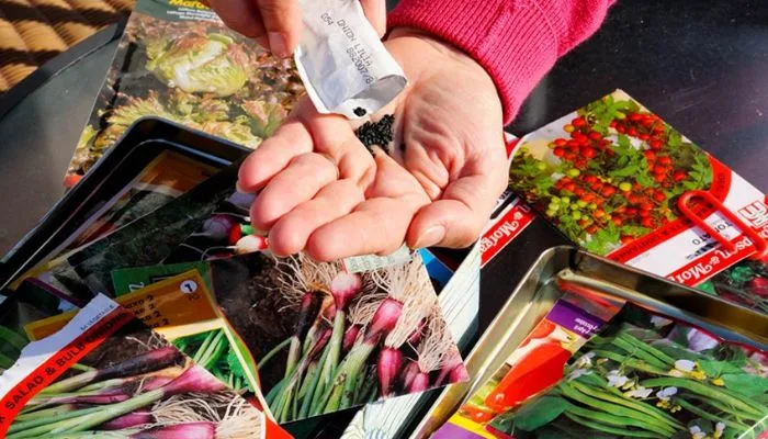 Assortment of vegetable and fruit seeds stored in small packets for long-term emergency gardening.