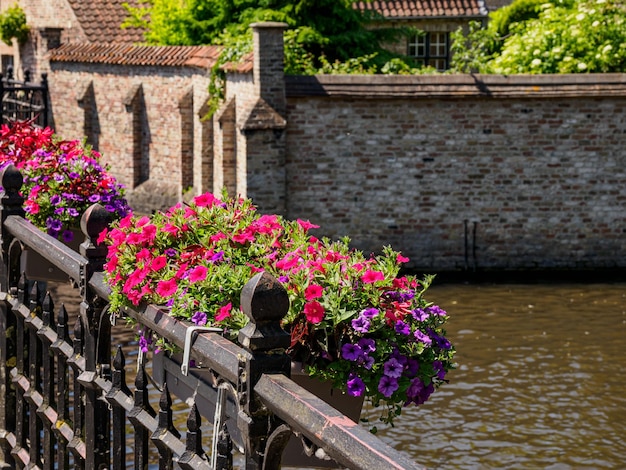 A photo of the Chapel Bridge with flowers blooming on the railings.