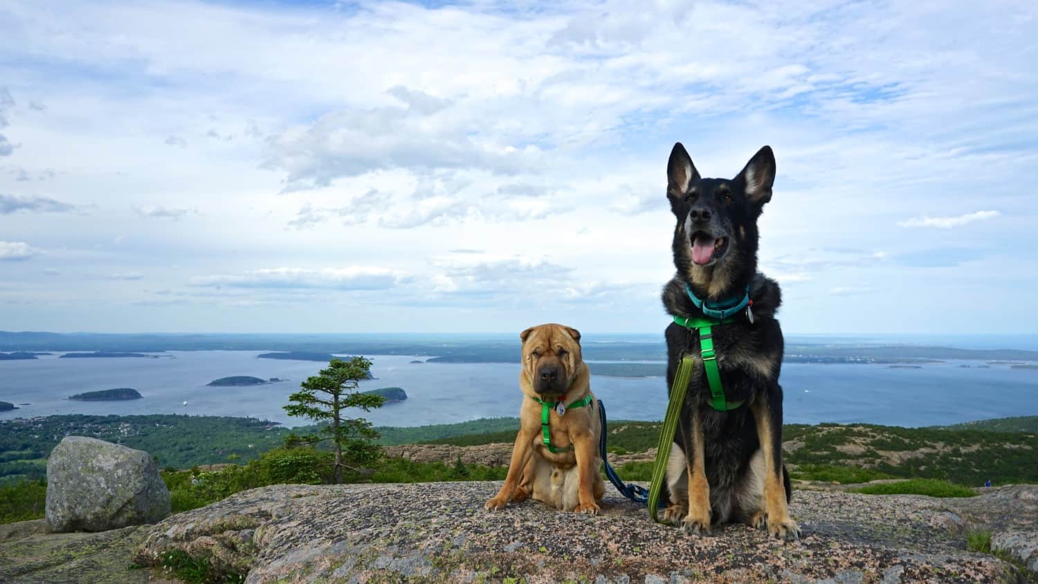 Acadia National Park