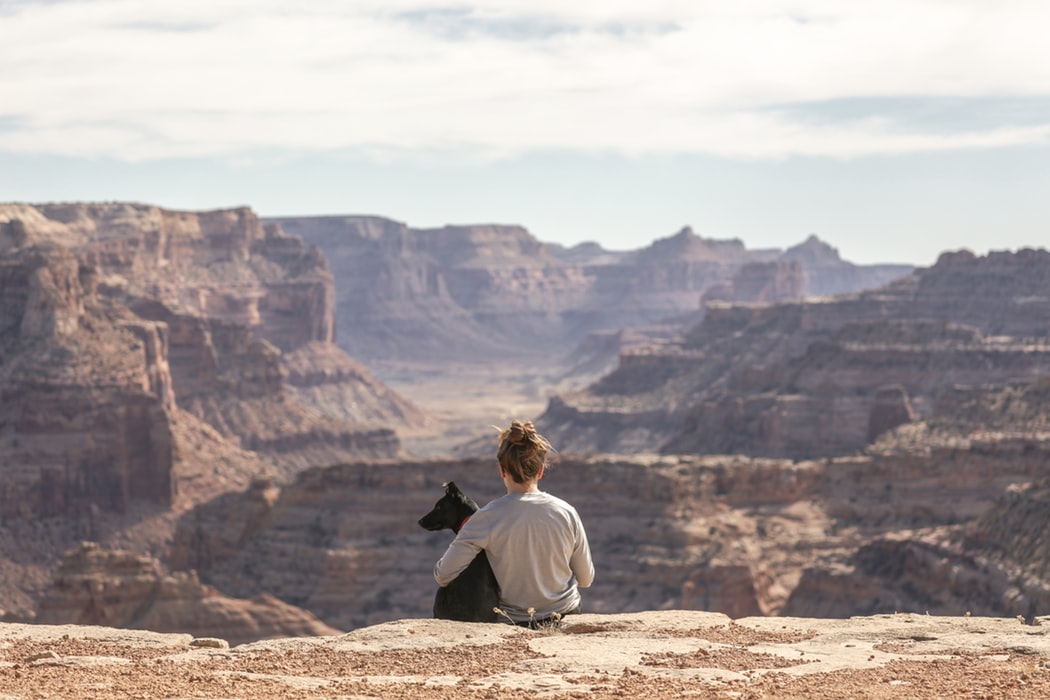 These Are The Most Pet Friendly US National Parks