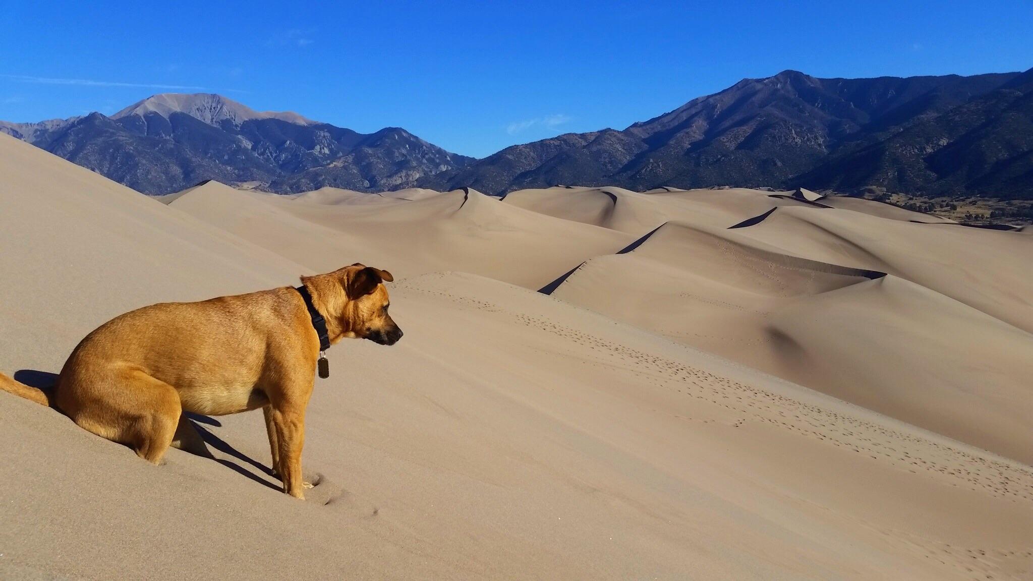 Great Sand Dunes National Park And Preserve